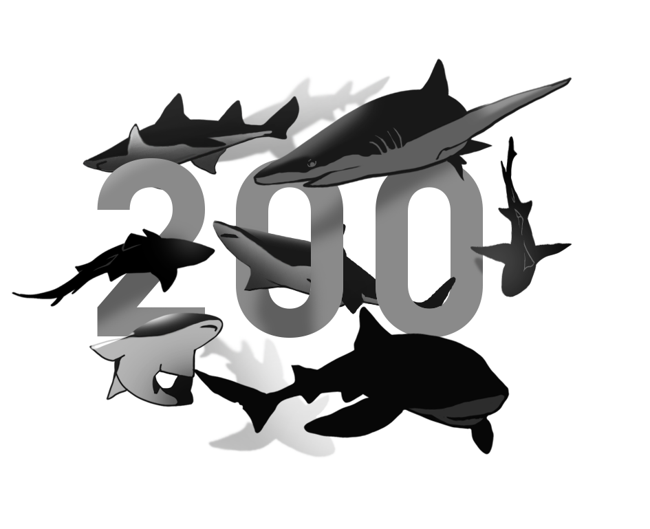 200 Philippine Sharks as NFTs
